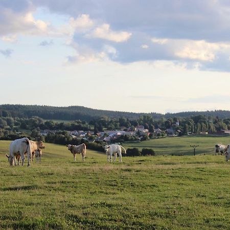 Ctyri Pokoje Tachov  Eksteriør billede