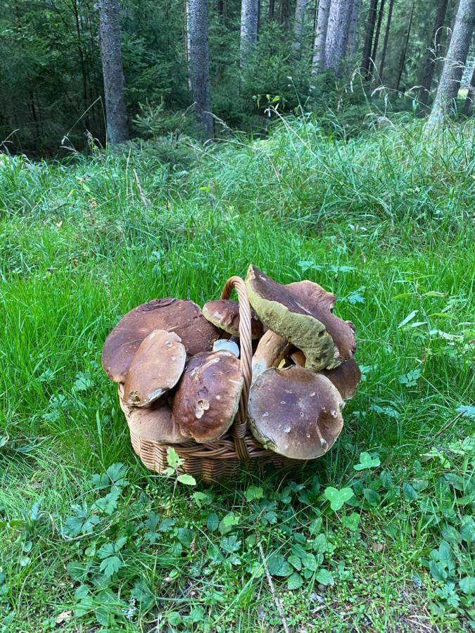 Ctyri Pokoje Tachov  Eksteriør billede